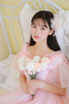 秘密女搜查官系列